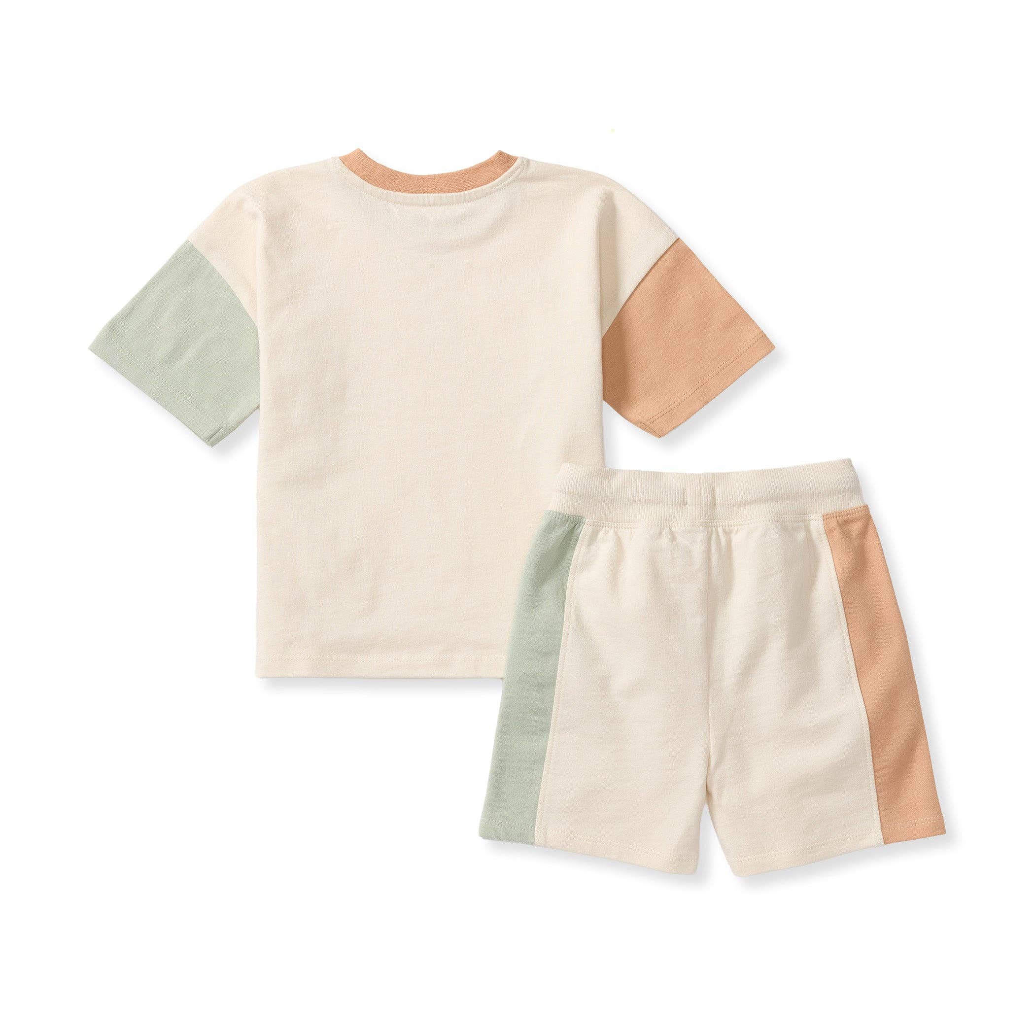 Color Blocked Tee & Shorts Set